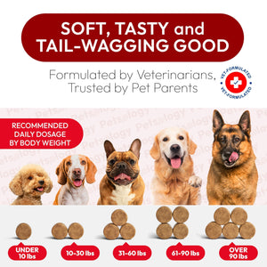 PETSOLOGY Advanced UTI Treatment Cranberry Multivitamin Supplement for Dogs. 170 Chews