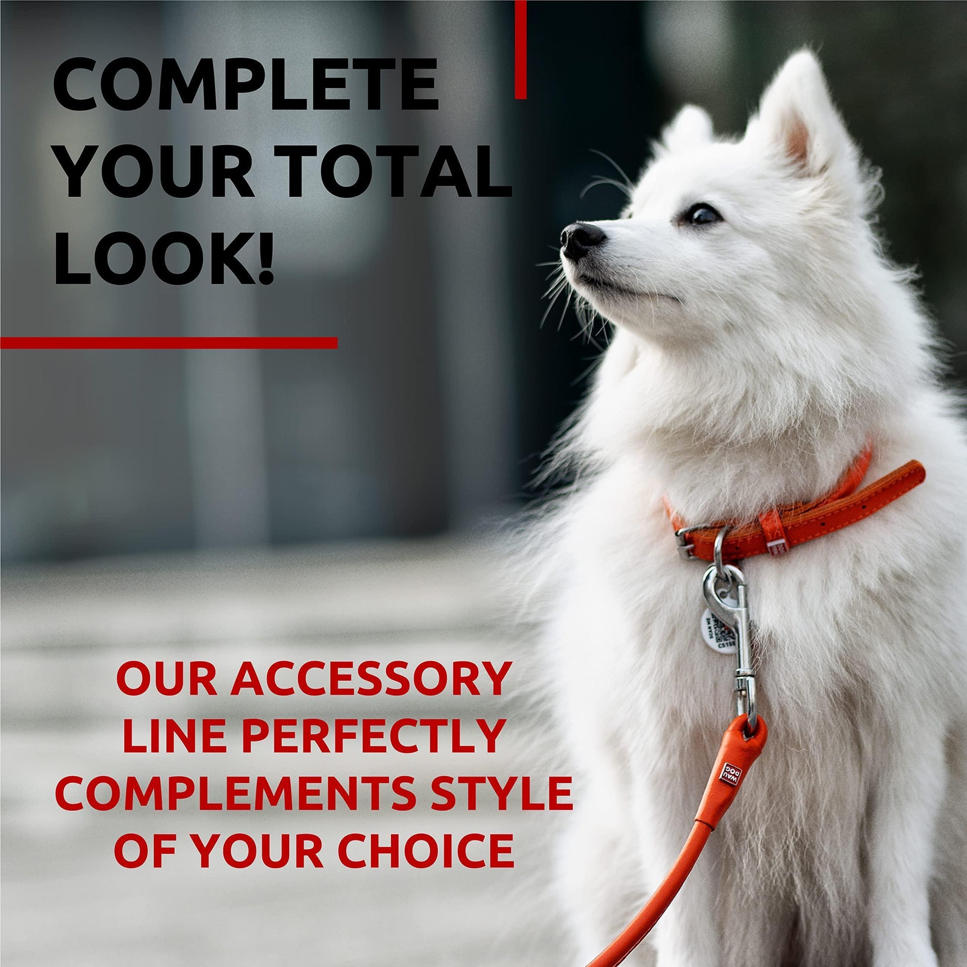 Rolled Leather Dog Leash 4Ft * 0.3 in for Small Medium and Large Dogs   Heavy For Pet With Love