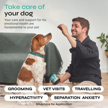 Load image into Gallery viewer, Calming Chews for Dogs Anxiety Relief   Hemp Calming Chews for Dogs   Soft
