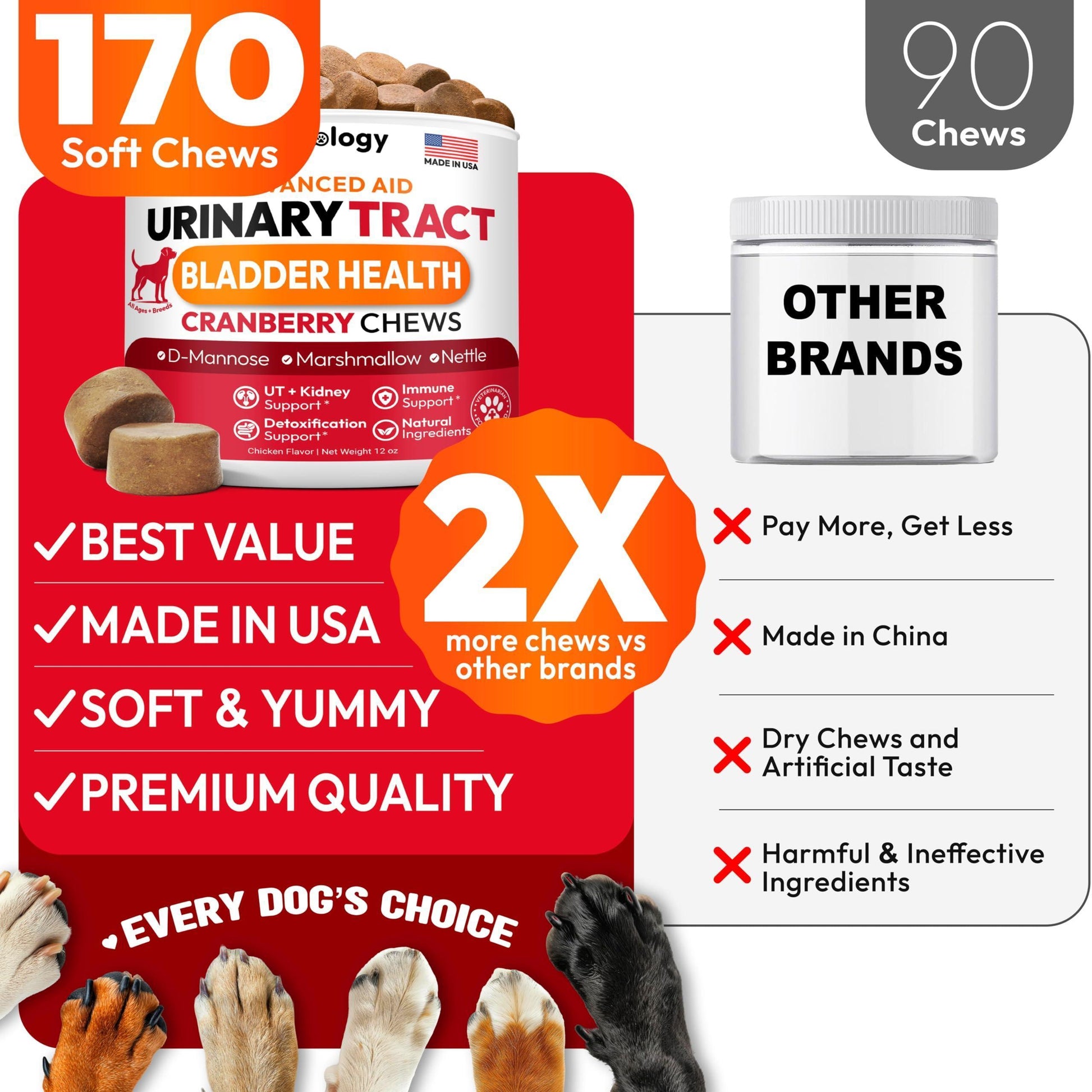 PETSOLOGY Advanced UTI Treatment Cranberry Multivitamin Supplement for Dogs. 170 Chews For Pet With Love