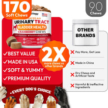 Load image into Gallery viewer, PETSOLOGY Advanced UTI Treatment Cranberry Multivitamin Supplement for Dogs. 170 Chews
