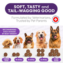 Load image into Gallery viewer, PETSOLOGY Melatonin Calming Chews for Dogs Natural Sleep Aid with Hemp Seed Oil, Chamomile, Valerian Root. Made in USA (170 Chews. Chicaken Flavor) For Pet With Love
