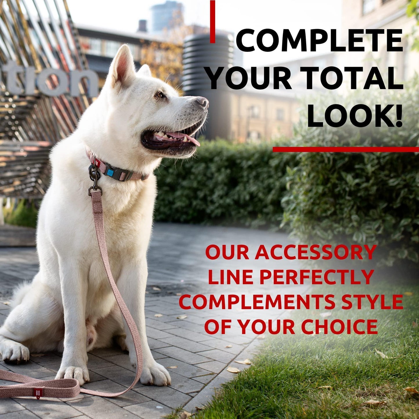 Recycled Cotton Dog Leash 6 Ft   10 Ft Eco Friendly Collar for Small Medium & For Pet With Love