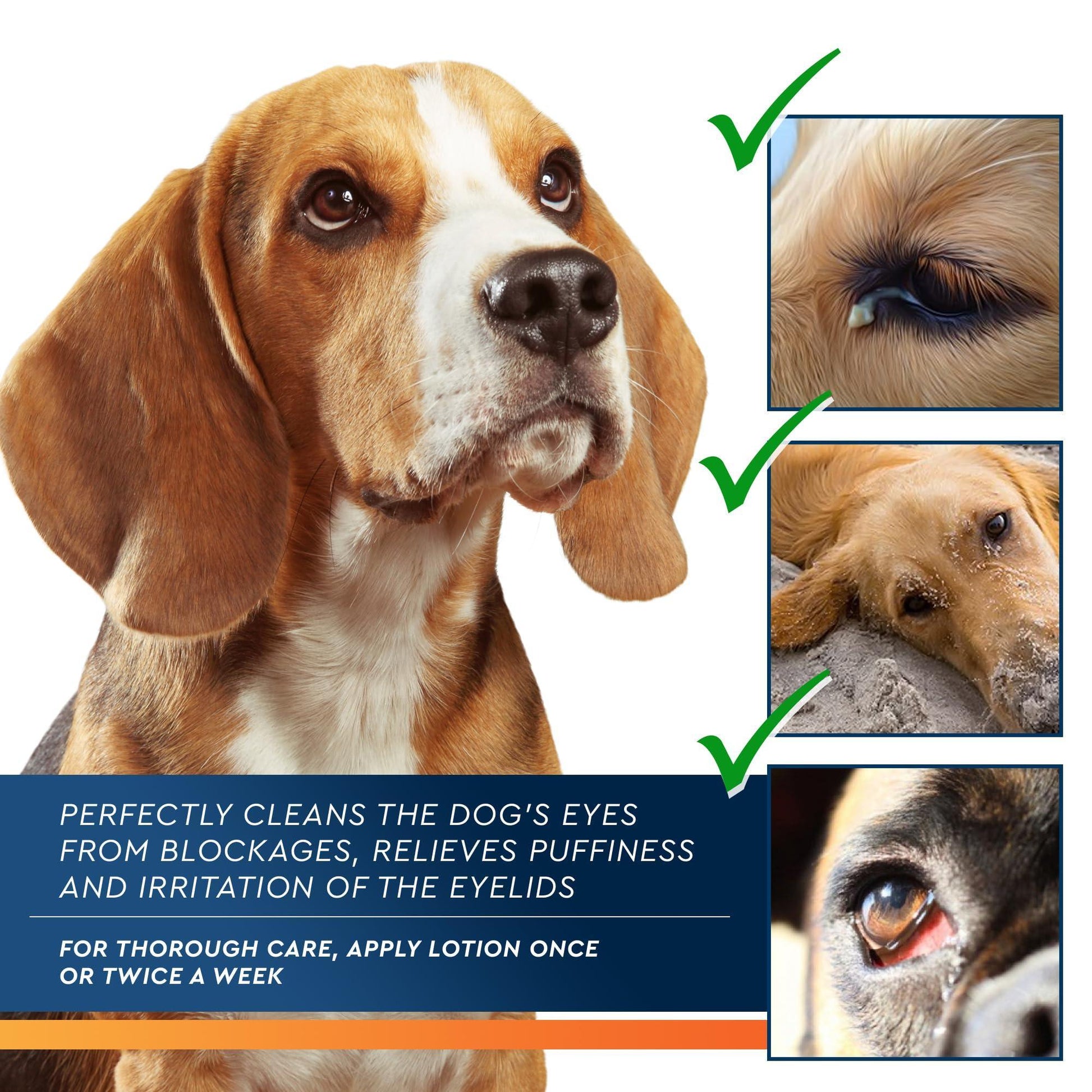 Beloved Pets All Pets Eye Wash Drops for Pink Eye Relief, Infections & Runny Dry Eyes 3.4 Oz For Pet With Love