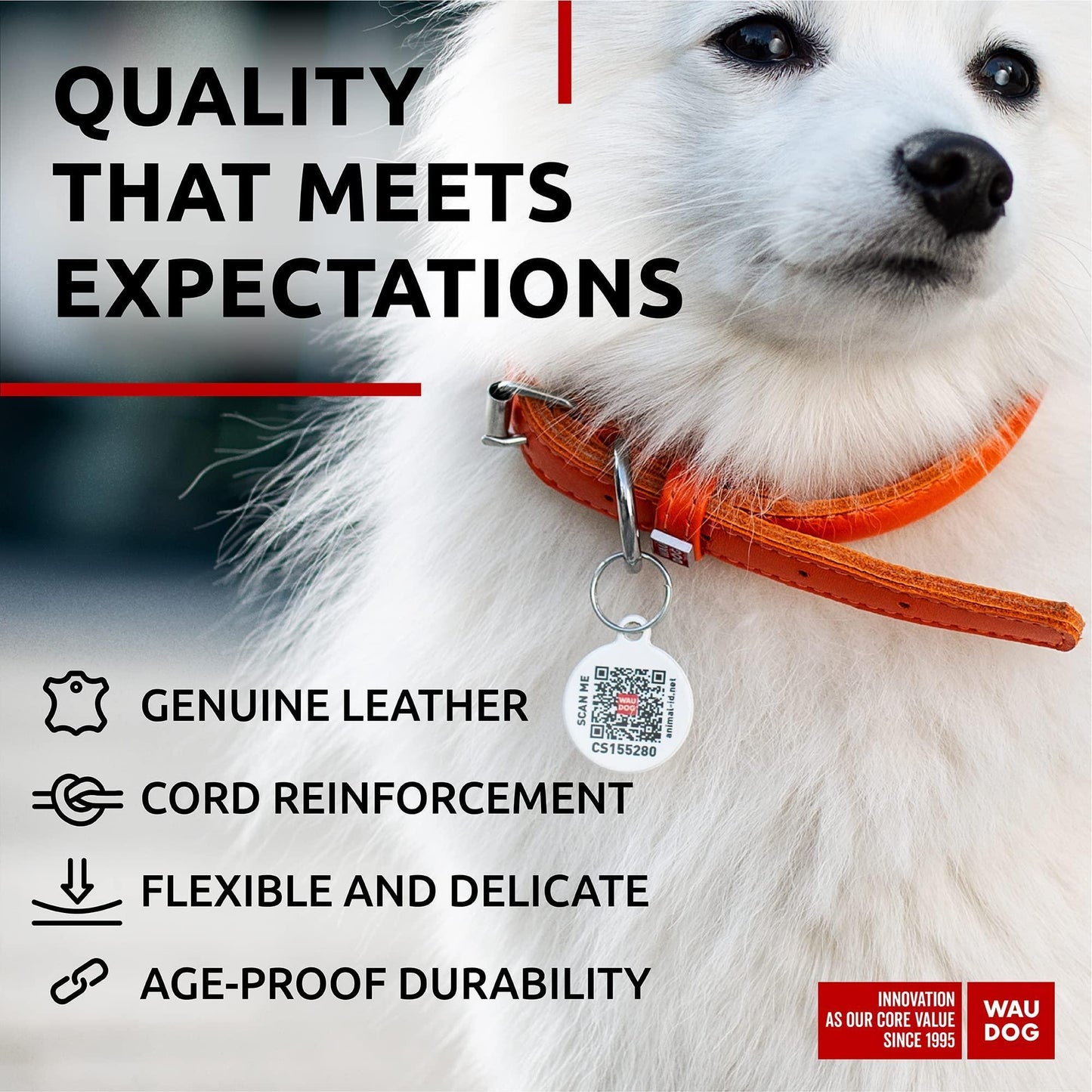 WAUDOG Ultra Soft Rolled Leather Dog Collar for Small Dogs   Soft Padded Dog For Pet With Love