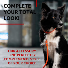 Load image into Gallery viewer, Rolled Leather Dog Leash 4Ft * 0.4 in for Small Medium and Large Dogs   Heavy
