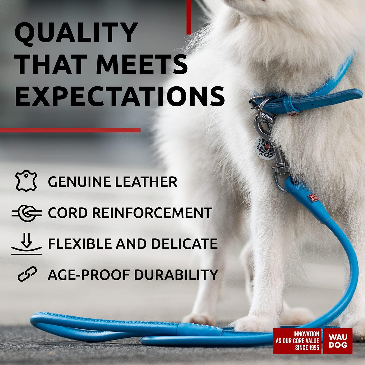 WAUDOG Rolled Leather Dog Leash 4Ft * 0.3 in for Small Medium and Large Dogs For Pet With Love