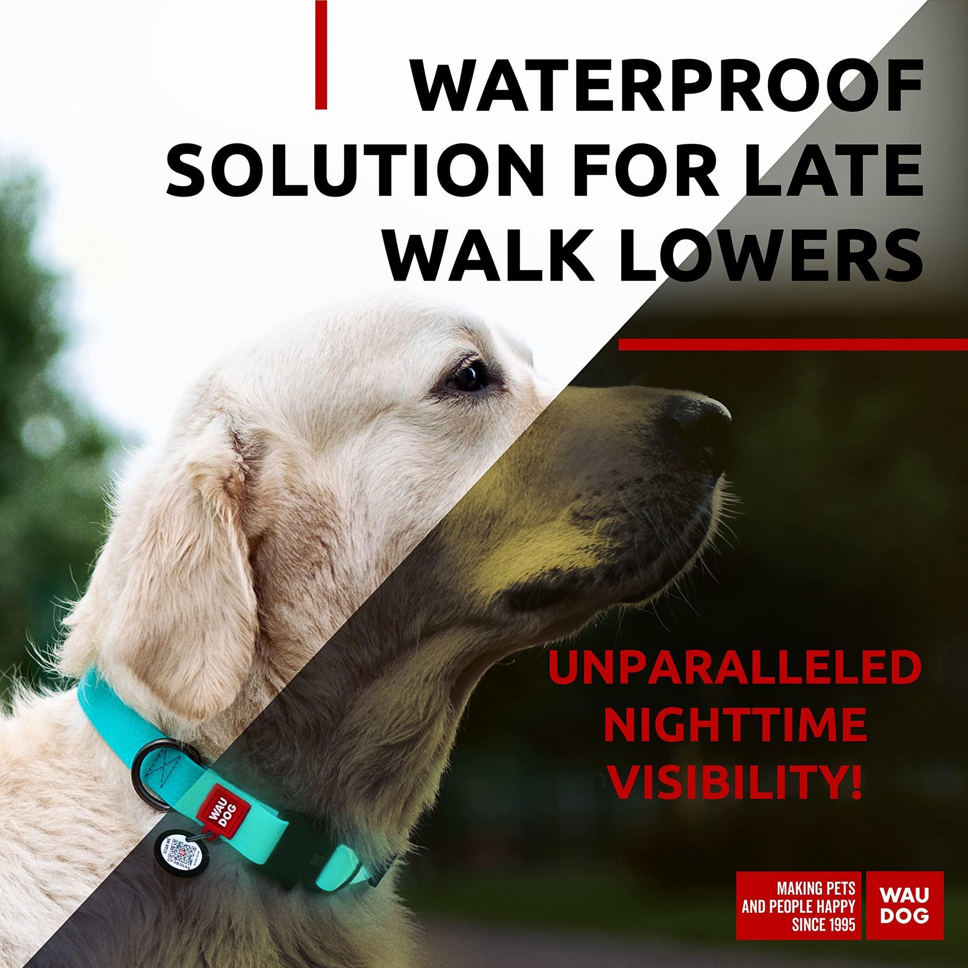 WAUDOG Adjustable Waterproof Glow in the Dark Dog Collar with Plastic Buckle and QR Dog Tag MINT MEDIUM For Pet With Love