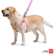 Load image into Gallery viewer, WAUDOG Re Cotton Dog Harness Eco Friendly Dog Harness for Small Dogs Medium &amp;
