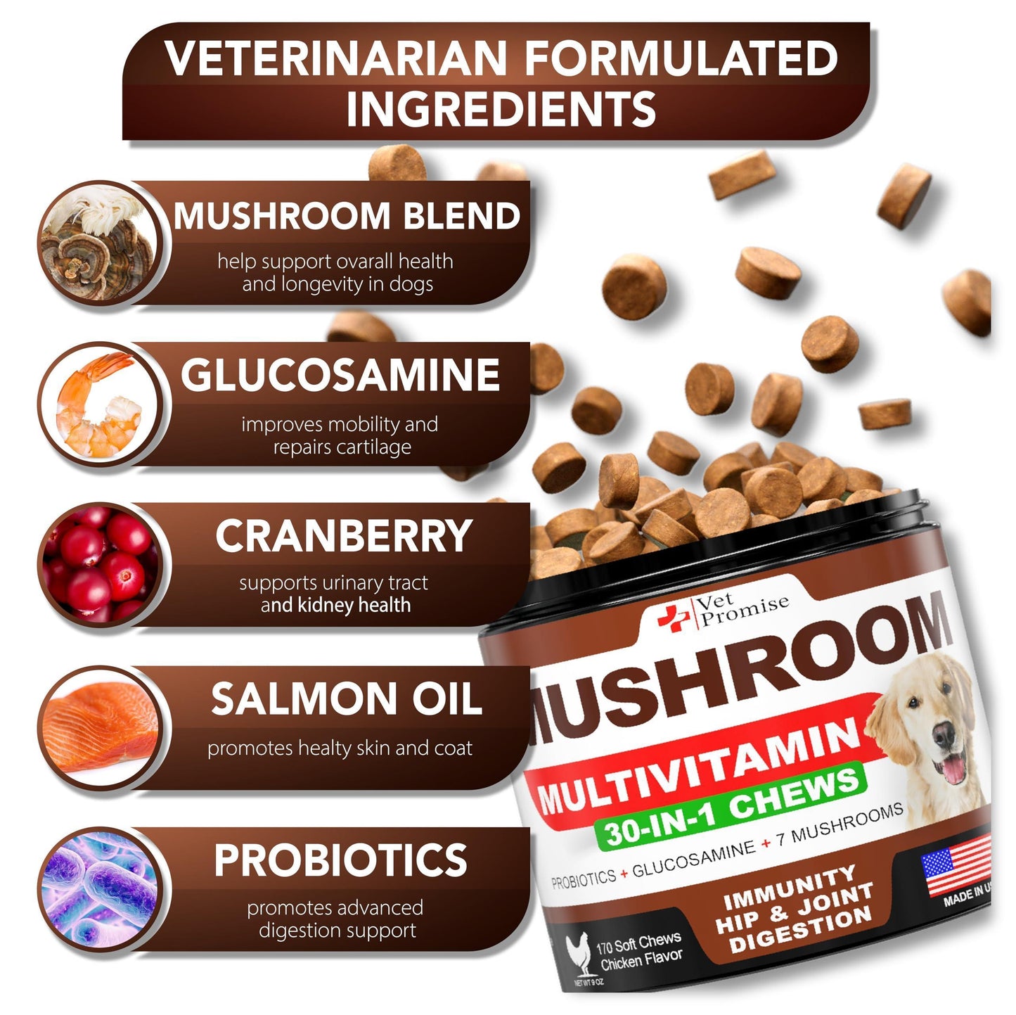 Vet Promise Mushroom Multivitamin Supplement for Dogs for Dogs. Turkey Tail Mushroom, Lions Mane, Reishi Immunity Support, Joint Health, Energy, Gut, Skin Health Support. (2 Pack. 340 Chews) For Pet With Love