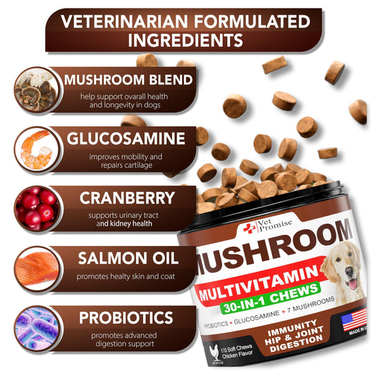 Vet Promise Mushroom Multivitamin Supplement for Dogs for Dogs. Turkey Tail Mushroom, Lions Mane, Reishi Immunity Support, Joint Health, Energy, Gut, Skin Health Support. (2 Pack. 340 Chews) For Pet With Love