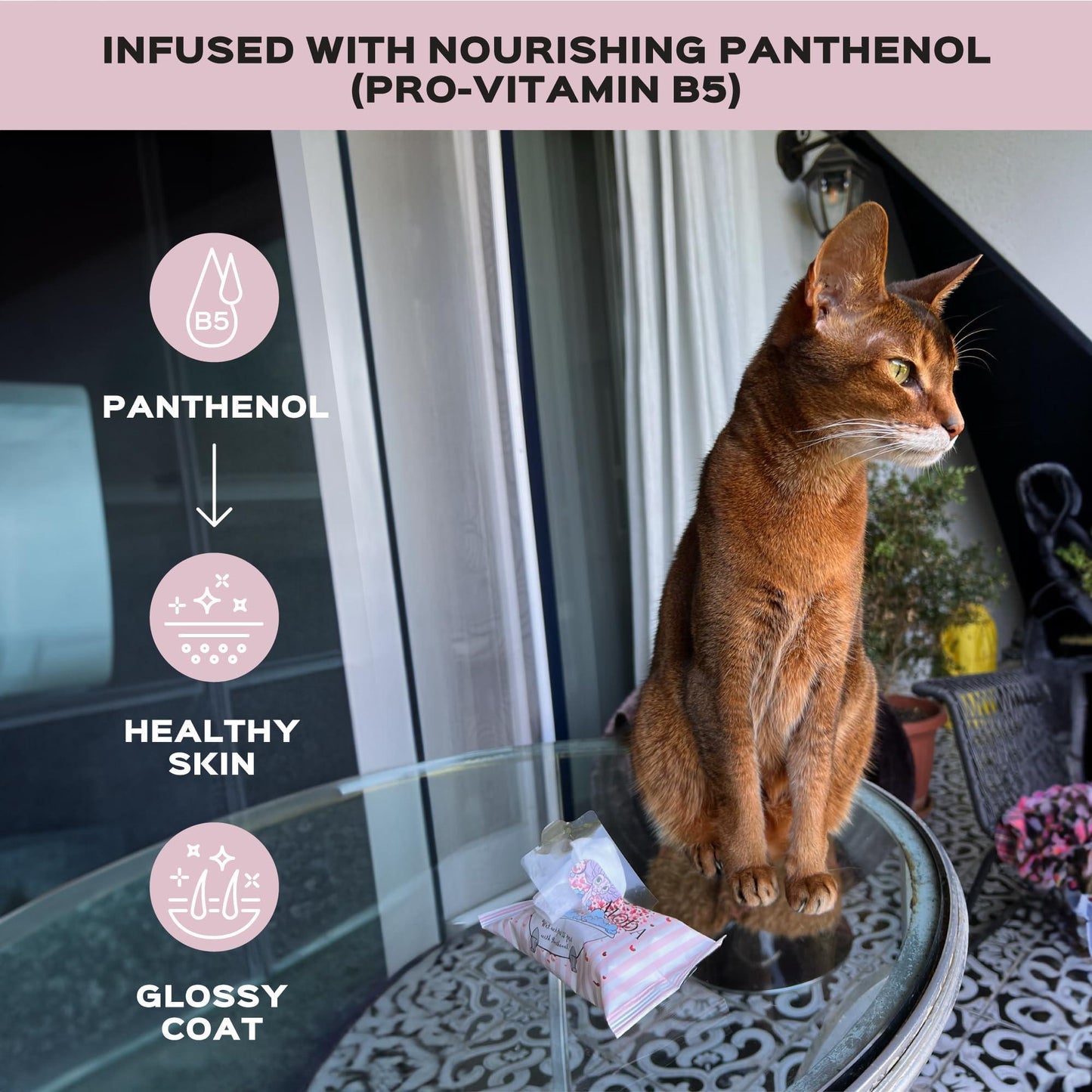 Kotomoda Wet Wipes with Panthenol for Sphynx cat for Everyday use (24Pack) For Pet With Love