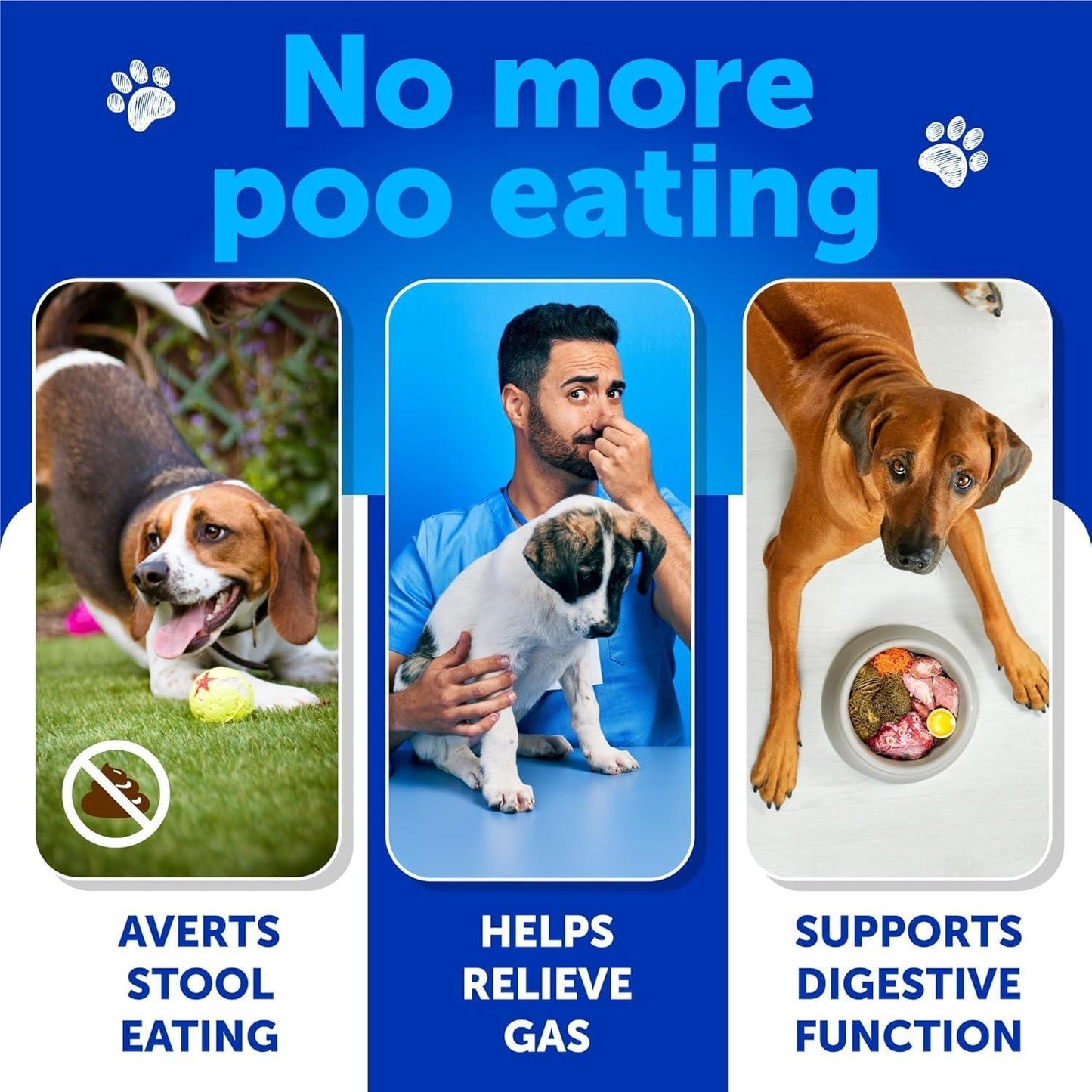 Artullano NO POO Chews for Dogs & Puppies w/Probiotics & Enzymes Digestive Gut Health Support Supplement 120 Chews For Pet With Love