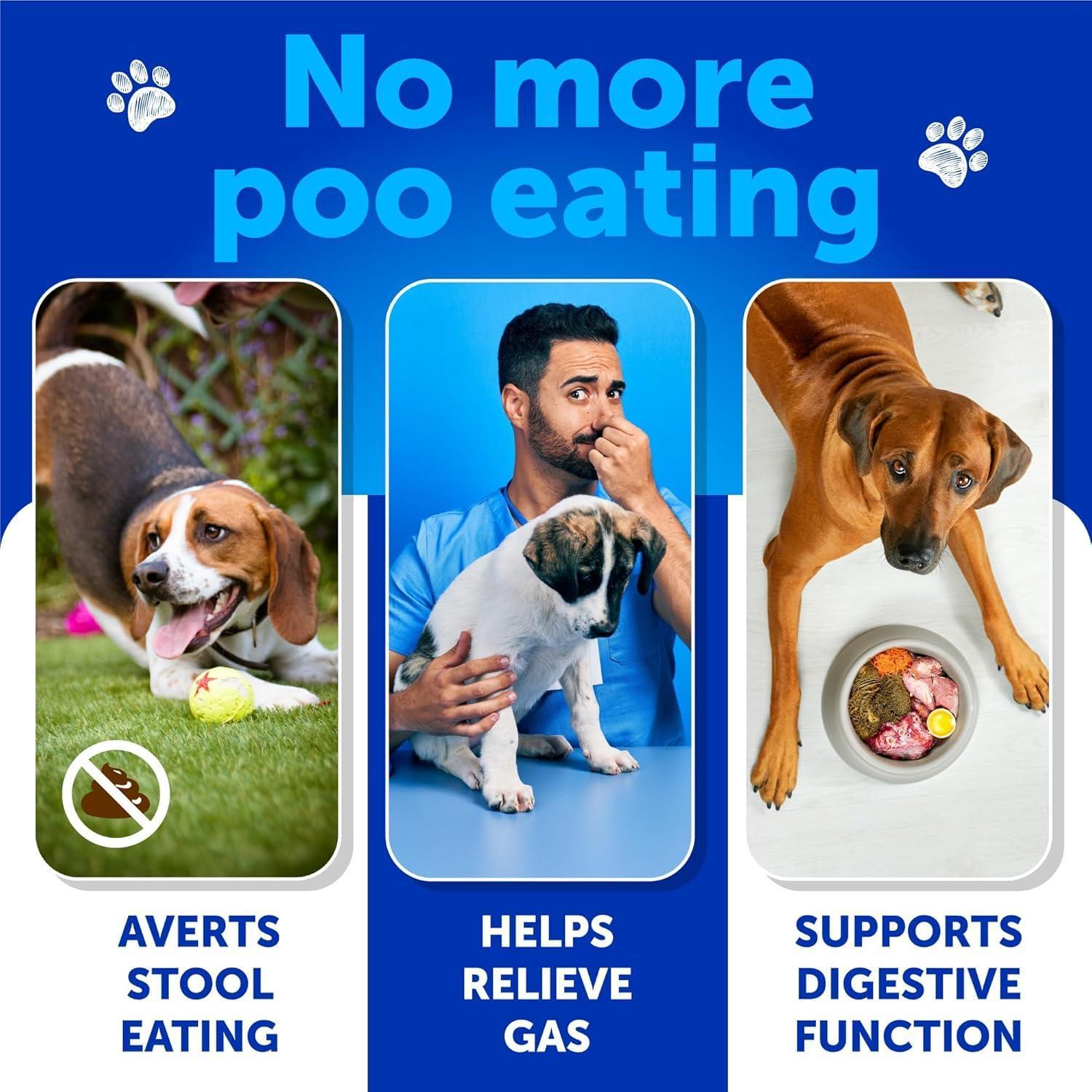 Artullano NO POO Chews for Dogs & Puppies w/Probiotics & Enzymes Digestive Gut Health Support Supplement 120 Chews For Pet With Love
