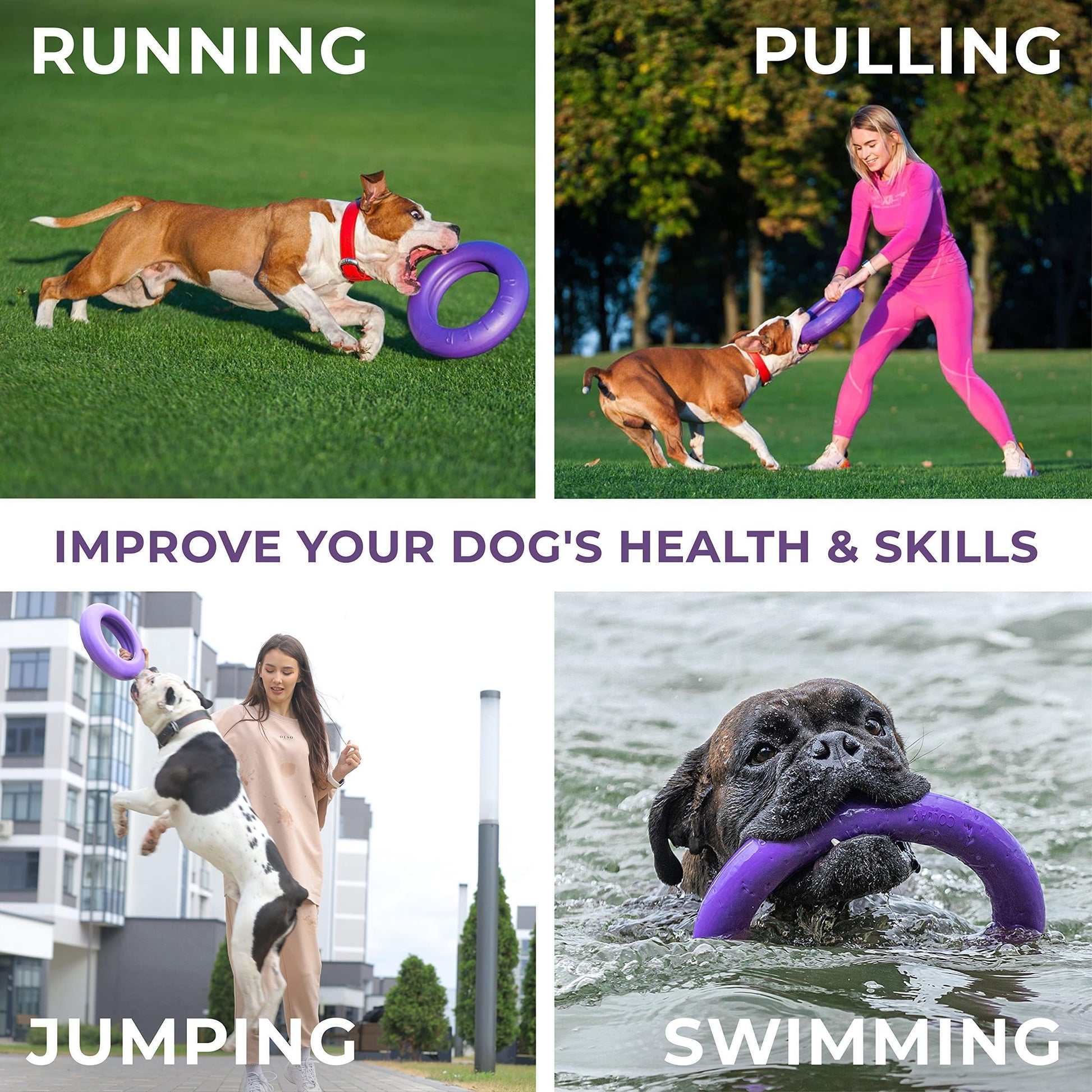 PULLER Maxi - Outdoor Dog Ring Toy - Fetch Toy and Tug-of-War Dog Toy for Large Breeds For Pet With Love