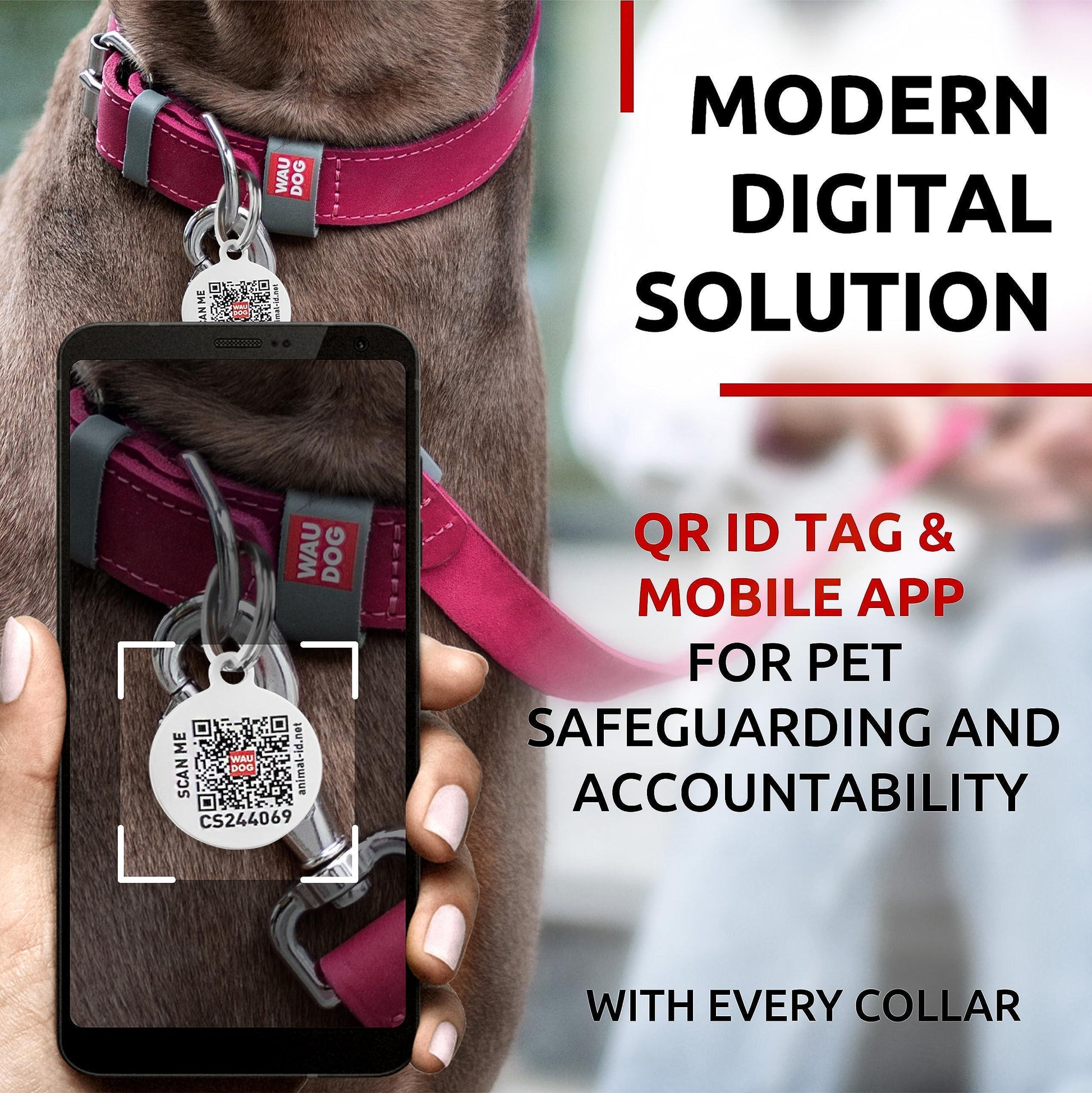 WAUDOG Adjustable Long Lasting Leather Dog Collar with Durable Buckle D Ring & QR Dog Tag. LARGE. Pink For Pet With Love
