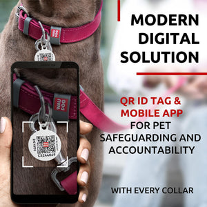 Long Lasting Leather Dog Collar for Large Dogs Medium & Small Dogs   Adjustable