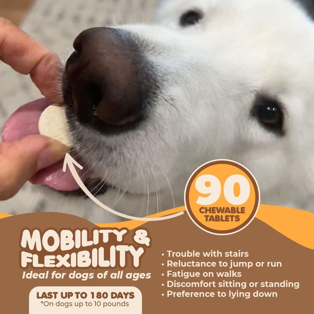 Makondo Pets Hip & Joint Mobility Support & Pain Relief Supplement for Dogs 90Ct For Pet With Love