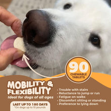 Load image into Gallery viewer, Makondo Pets Hip &amp; Joint Mobility Support &amp; Pain Relief Supplement for Dogs 90Ct
