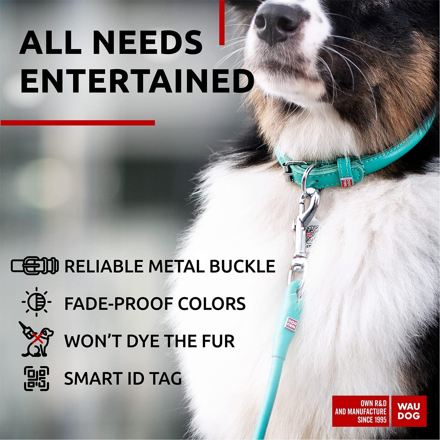 WAUDOG Ultra Soft Rolled Leather Dog Collar for Small Dogs   Soft Padded Dog For Pet With Love