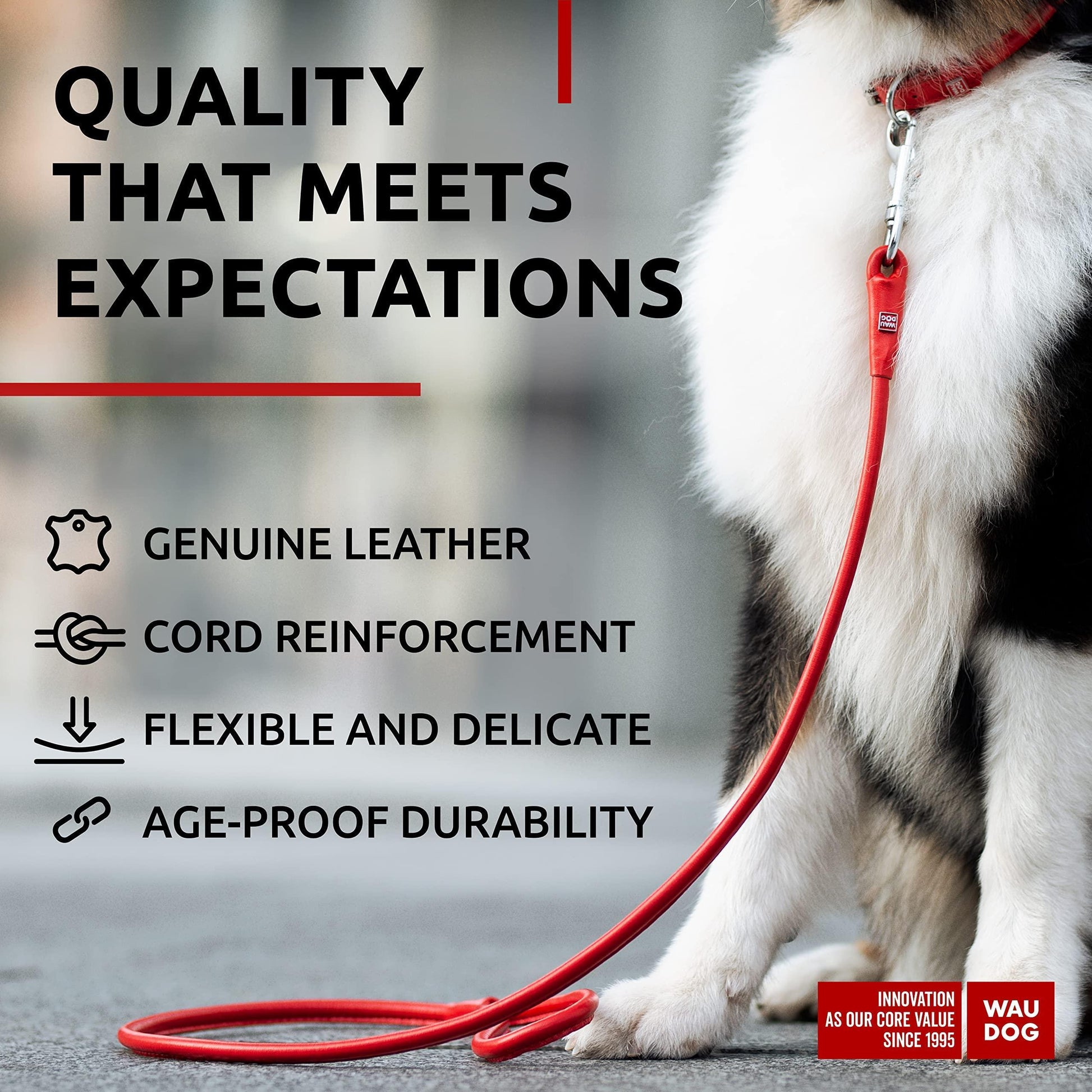 Rolled Leather Dog Leash 4Ft * 0.5 in for Small Medium and Large Dogs   Heavy For Pet With Love