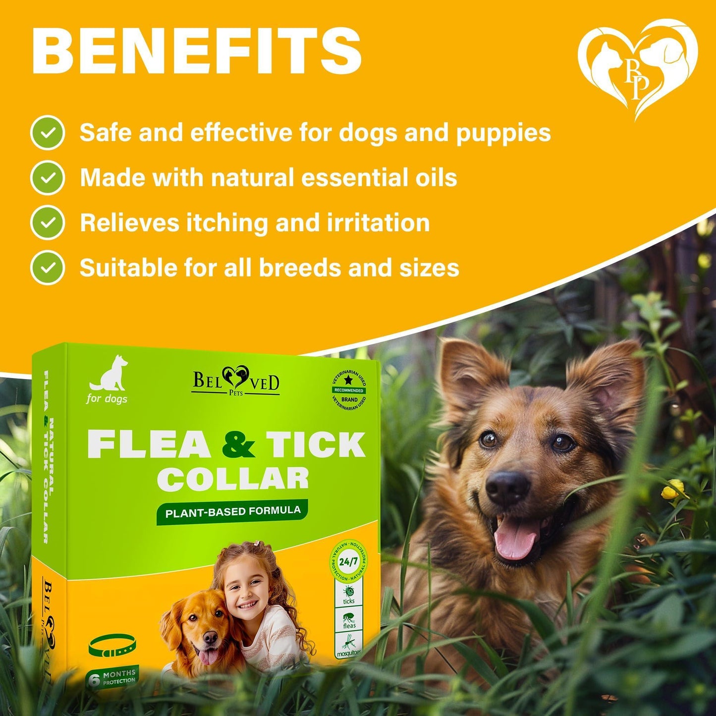 Beloved Pets Natural Anti Fleas and Ticks Essential Oil Repellent Collar for Dogs. 6 Months Control of Best Prevention & Safe Treatment. Pack of 1. For Pet With Love