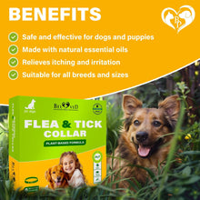 Load image into Gallery viewer, Beloved Pets Natural Anti Fleas and Ticks Essential Oil Repellent Collar for Dogs. 6 Months Control of Best Prevention &amp; Safe Treatment. Pack of 1. For Pet With Love
