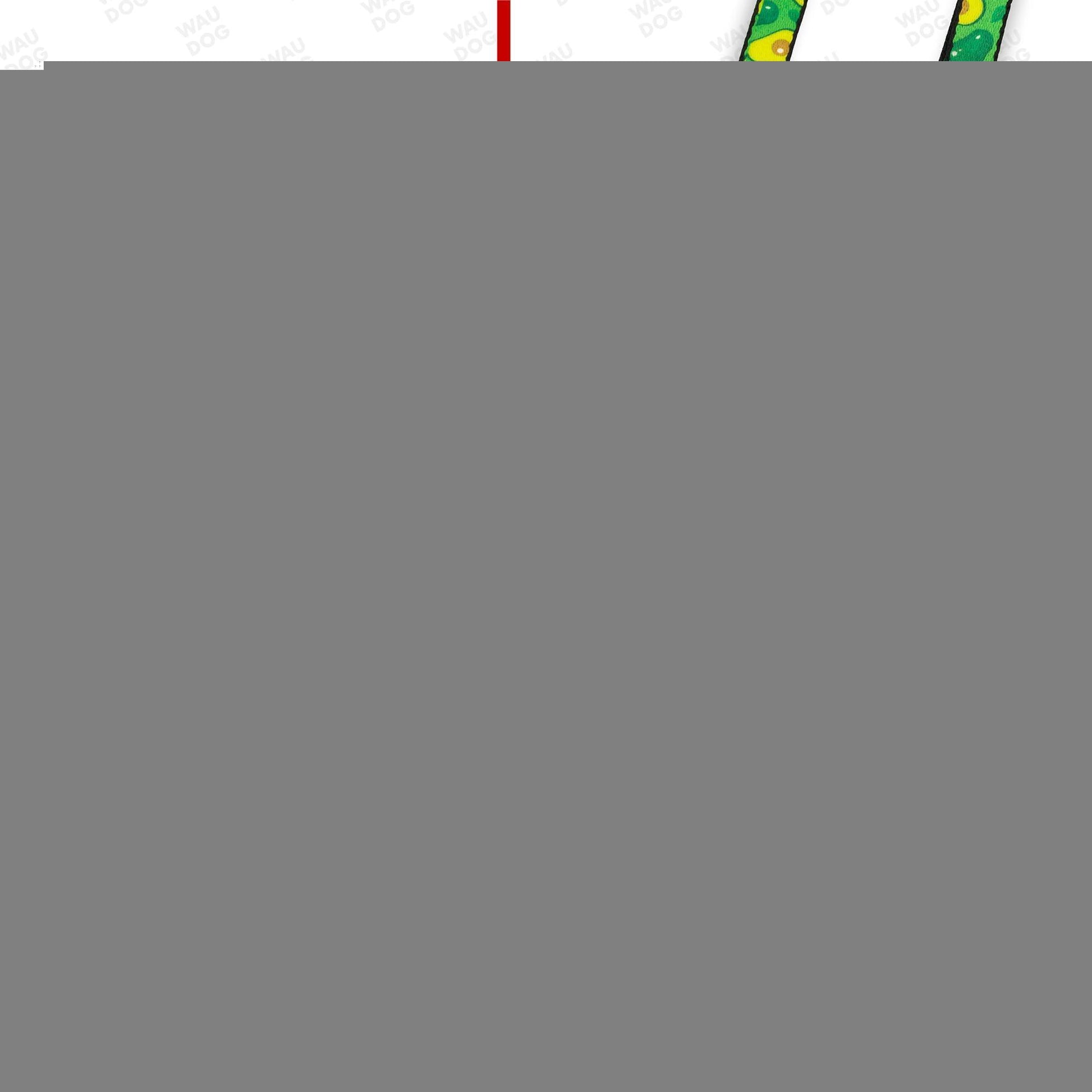 Nylon Dog Leash for Small Dogs and Medium Dogs 4 Ft   Strong Dog Leash for For Pet With Love