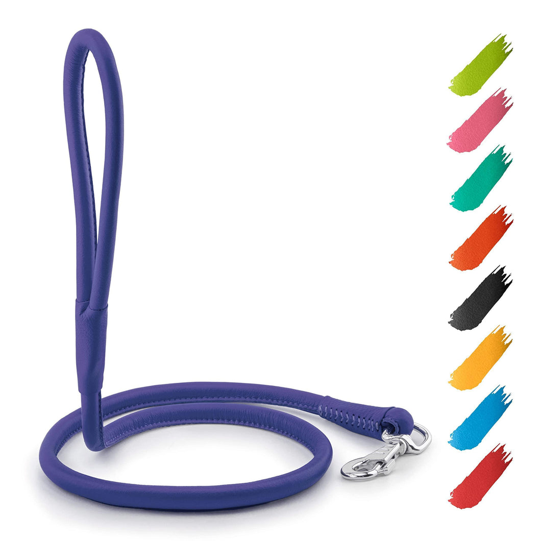 Rolled Leather Dog Leash 4Ft * 0.3 in for Small Medium and Large Dogs   Heavy