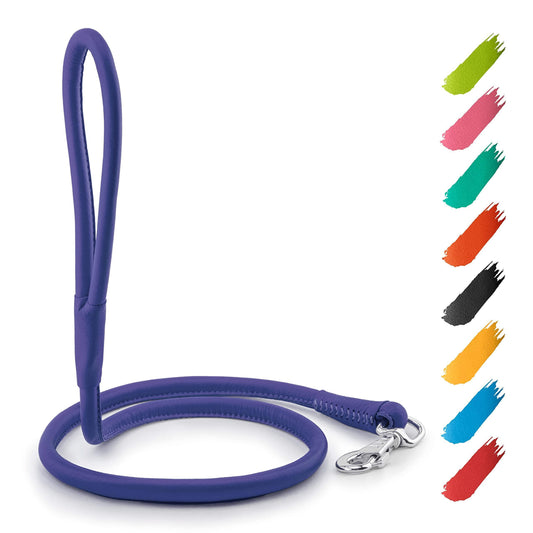 Rolled Leather Dog Leash 4Ft * 0.5 in for Small Medium and Large Dogs   Heavy For Pet With Love