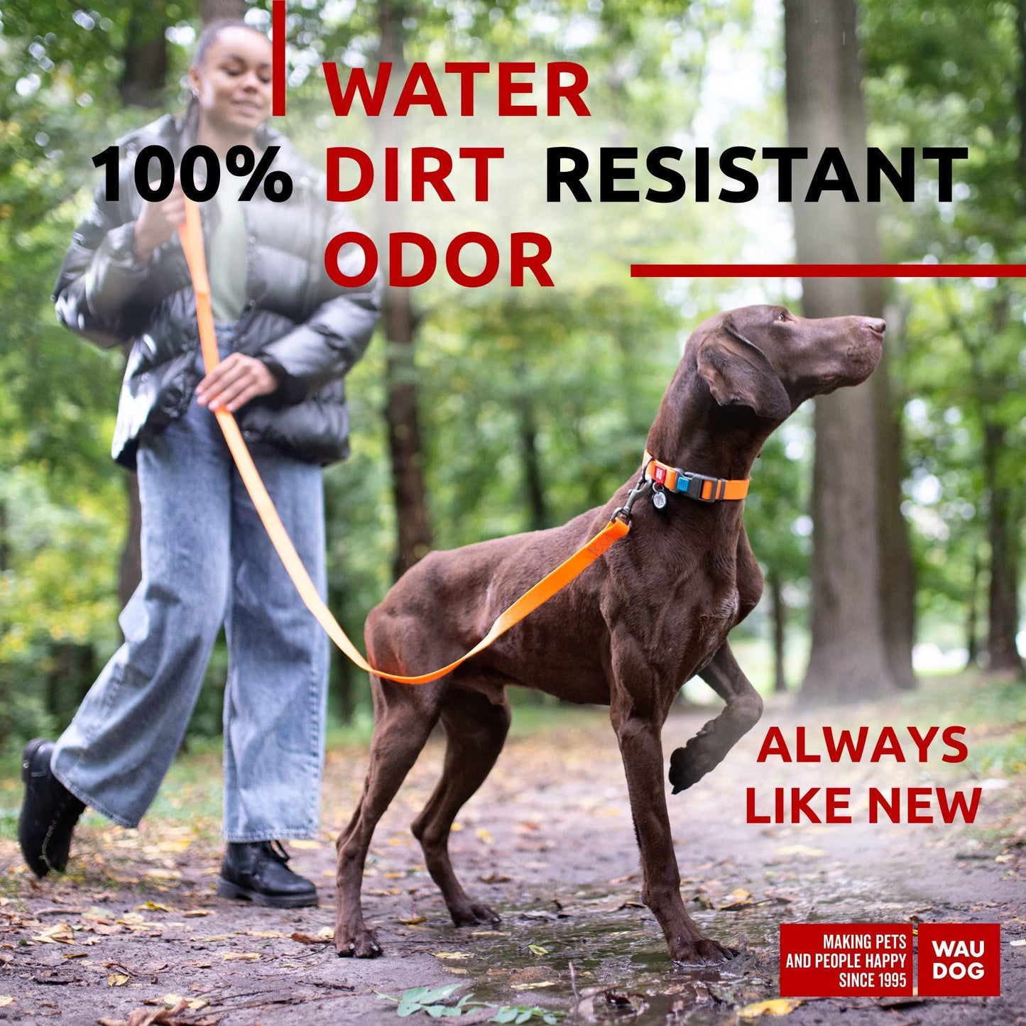 Waterproof Dog Leash 4 Ft   6 Ft   Anti Slip Dog Leash for Large Dogs Small and For Pet With Love