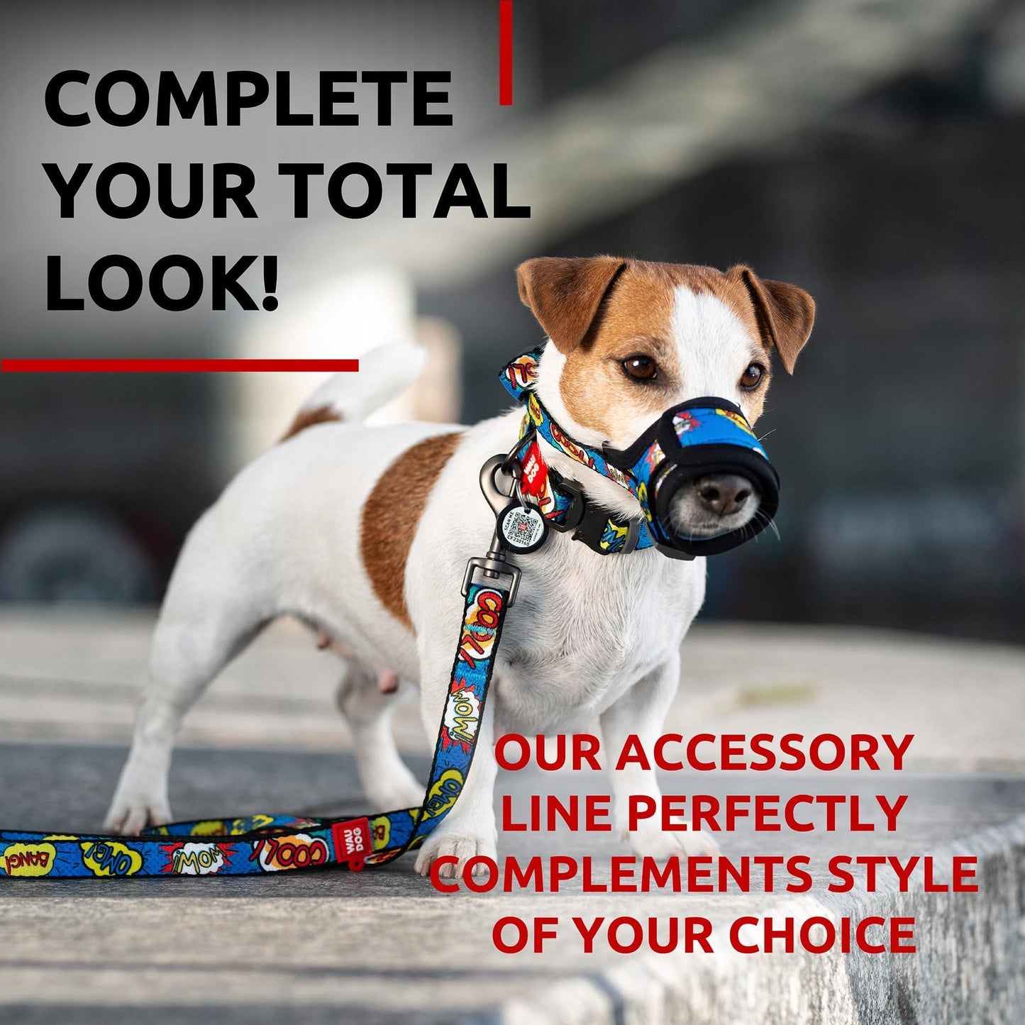 Nylon Dog Leash for Small Dogs and Medium Dogs 4 Ft   Strong Dog Leash for For Pet With Love