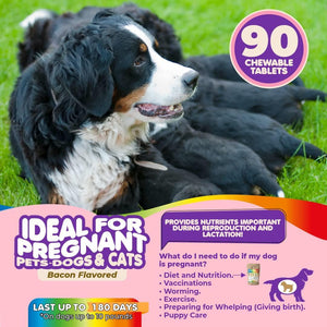 Makondo Pets Prenatal Multivitamins for Dogs & Cats with Folic Acid Minerals & Amino Acids