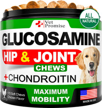 Load image into Gallery viewer, Vet Promise Hip and Joint Supplement with Glucosamine Chondroitin for Dogs 170 Ct
