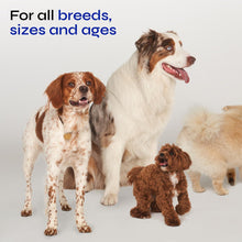 Load image into Gallery viewer, VETRICA Canine Hip &amp; Joint Supplement with Hemp &amp; Glucosamine 130 Chews
