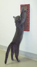 Load image into Gallery viewer, Cat Dancer Wall Scratcher Play Station
