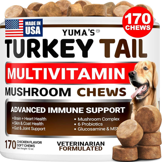 YUMA'S Turkey Tail Mushroom Dog Vitamins and Supplements for Dogs. 170 Chews For Pet With Love
