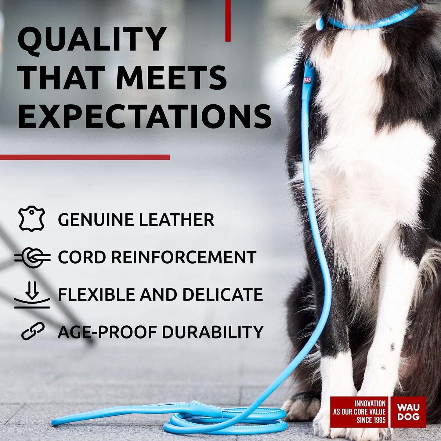 WAUDOG Rolled Leather GLAMOUR Dog Leash 4Ft * 0.4in for Small Medium and Large Dogs (Blue) For Pet With Love