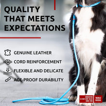 Load image into Gallery viewer, WAUDOG Rolled Leather GLAMOUR Dog Leash 4Ft * 0.4in for Small Medium and Large Dogs (Blue)
