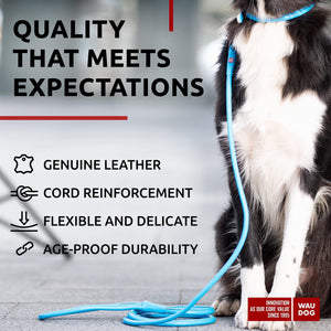 WAUDOG Rolled Leather GLAMOUR Dog Leash 4Ft * 0.4in for Small Medium and Large Dogs (Blue)