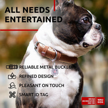 Load image into Gallery viewer, WAUDOG Leather Dog Collar with Durable Buckle and QR Dog Tag BROWN SMALL
