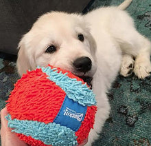 Load image into Gallery viewer, Chuckit Indoor Ball Toy for Dogs
