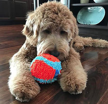 Load image into Gallery viewer, Chuckit Indoor Ball Toy for Dogs
