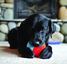 Load image into Gallery viewer, Chuckit Indoor Ball Toy for Dogs
