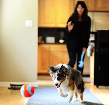 Load image into Gallery viewer, Chuckit Indoor Ball Toy for Dogs
