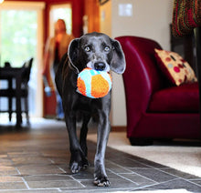 Load image into Gallery viewer, Chuckit Indoor Ball Toy for Dogs
