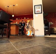 Load image into Gallery viewer, Chuckit Indoor Ball Toy for Dogs
