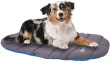 Load image into Gallery viewer, Chuckit Travel Dog Bed Blue and Gray
