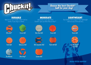 Chuckit Ultra Squeaker Ball Dog Toy