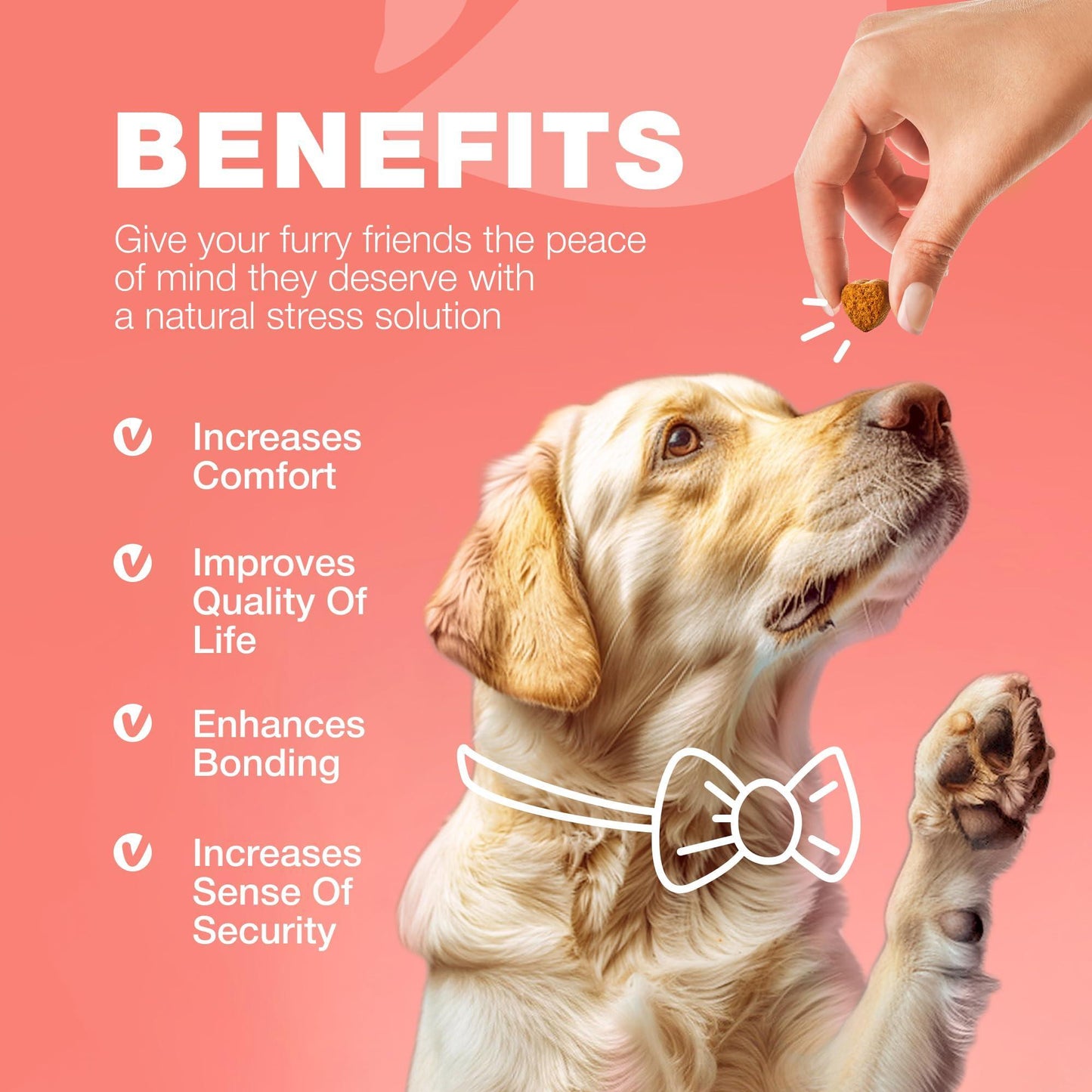 Dog Flea and Tick Treatment Chews   Flea and Tick Prevention for Dogs   Flea & For Pet With Love